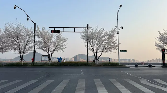 钱塘江边